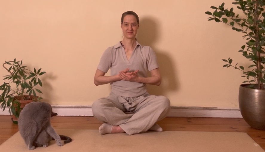 Herzvogel halten mit Katze 2 schmaler